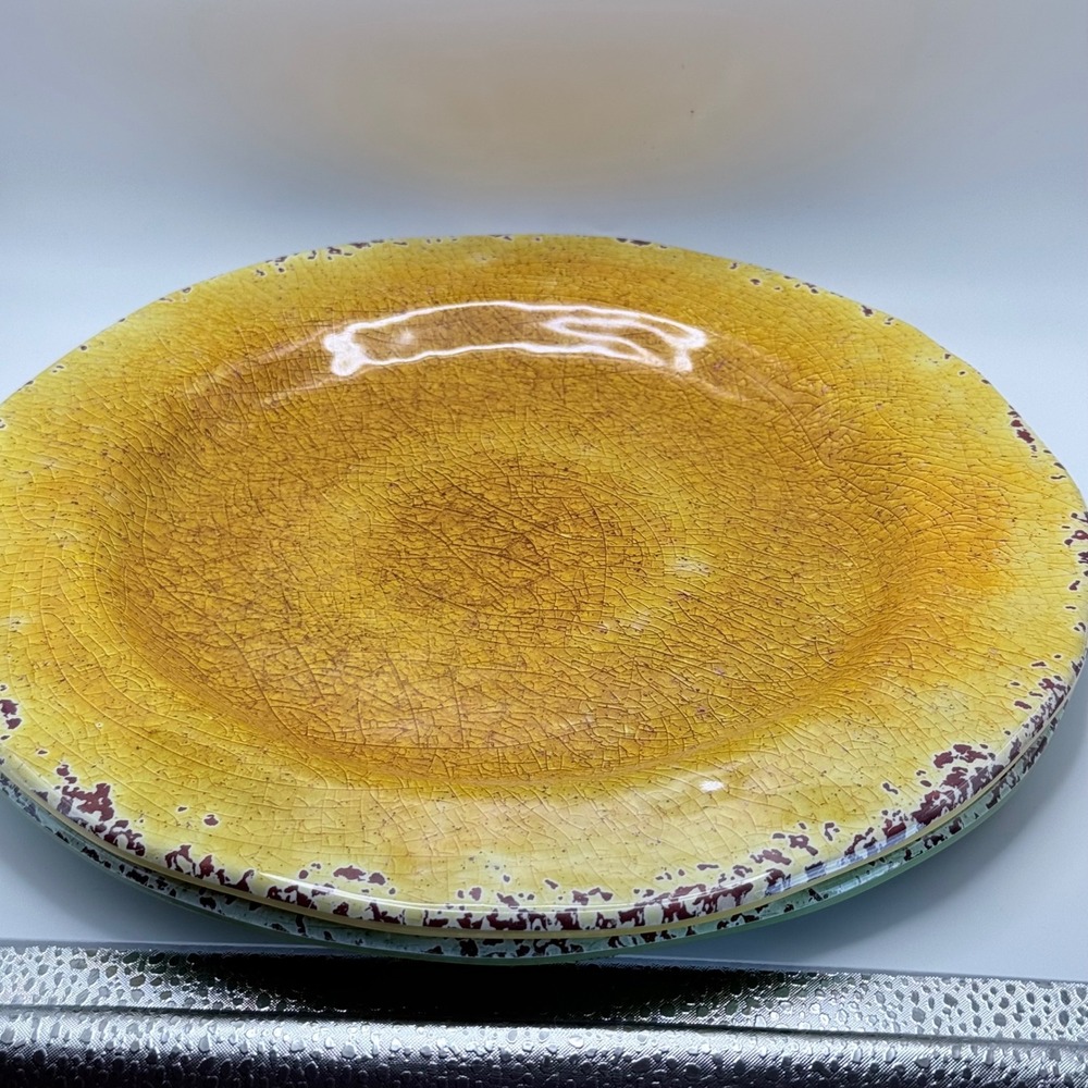 Pier 1 Imports Carmelo Melamine Dinnerware Set 2 Plates 2 Bowls Yellow Green - Picture 2 of 8